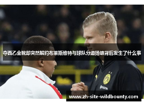 夺西乙金靴却突然解约布莱斯维特与球队分道扬镳背后发生了什么事